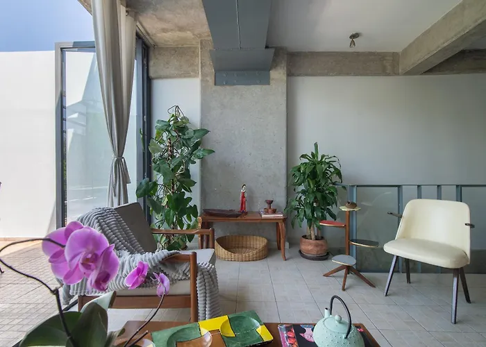 Condesa, Amsterdam Duplex Terrace And Rooftop