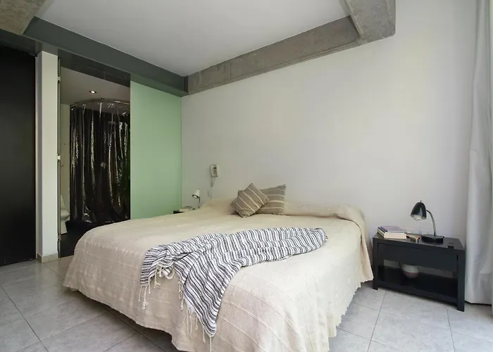 Apartamento Condesa, Amsterdam Duplex Terrace And Rooftop